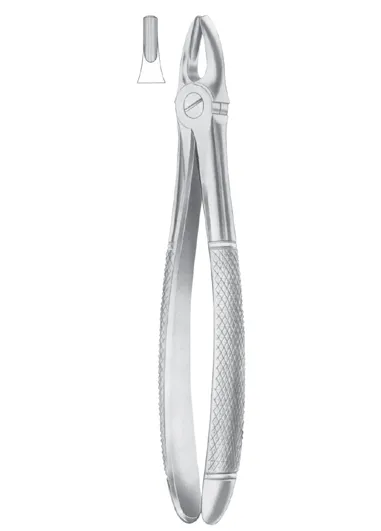 Fig.1 Upper Centrals &amp; Canines 